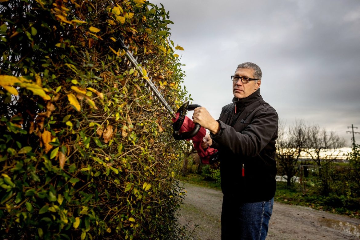Mit 55 cm Schneidenlänge, 25 mm Schnittkapazität und Doppelschliff ist die Hecke schnell wieder gestutzt.
