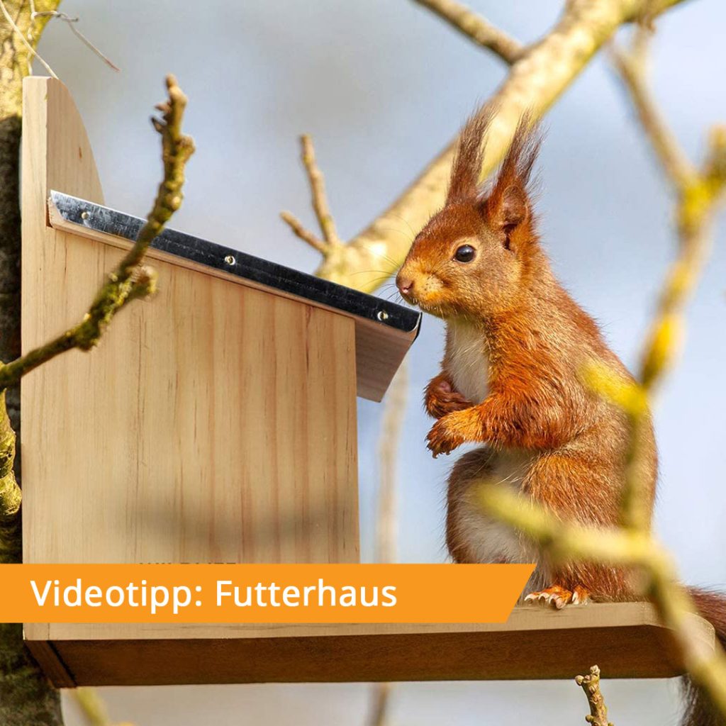 Futterhaus für Eichhörnchen