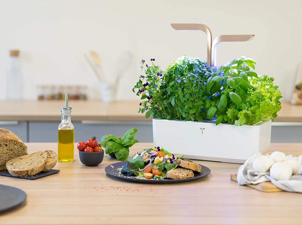 Smart Garden Project
