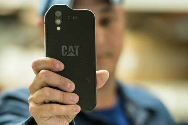CatS61-Inhand