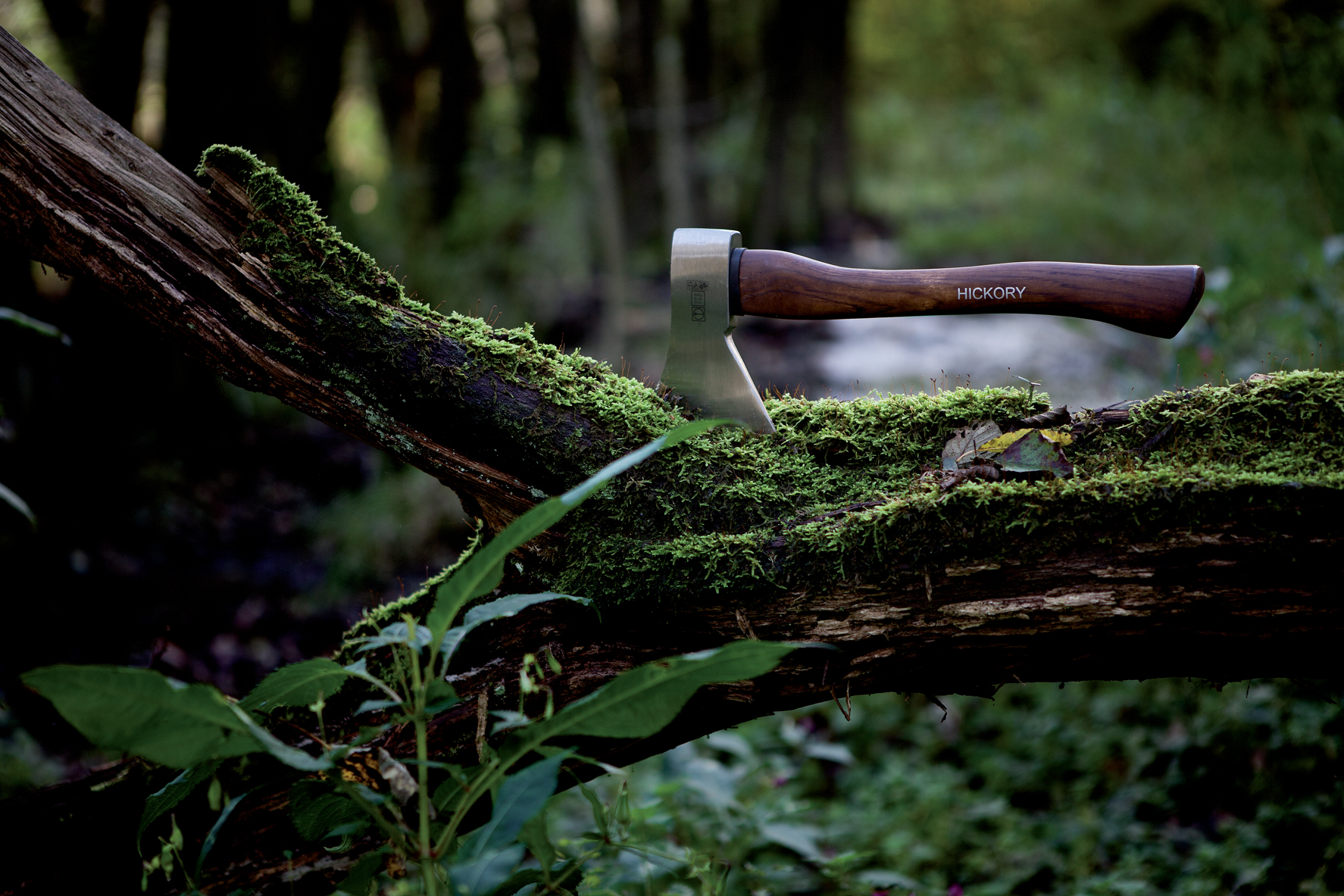 Beil und Axt von Ruthe