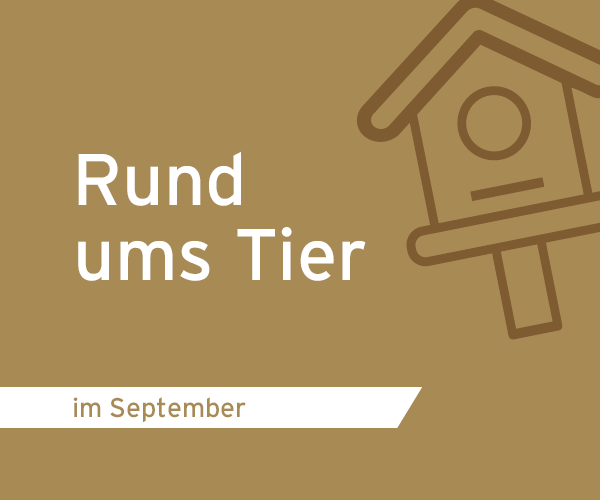 werkzeugforum.de Themenmonat Rund ums Tier