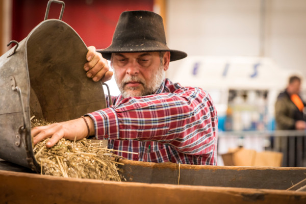 agri_historica_201601914