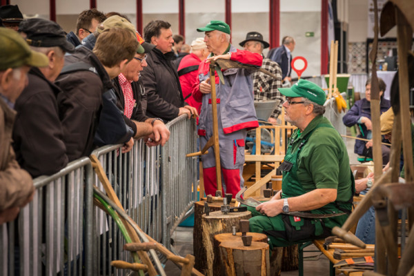 agri_historica_201602116