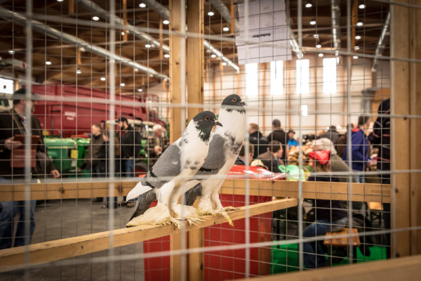 agri_historica_201602821