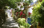 Handwerker Gomera